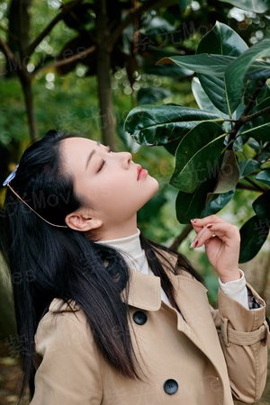 天命之左手