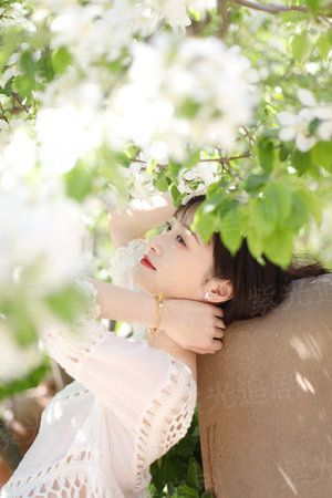 [星际]法定婚姻