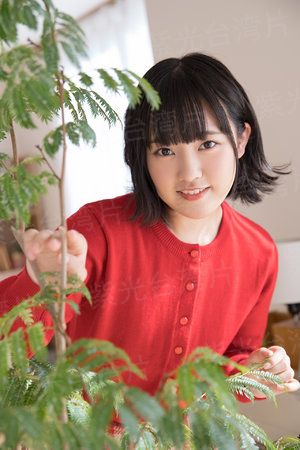 完美夫君