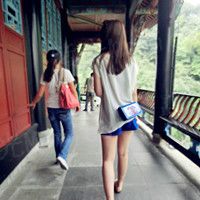 临风听夏蝉