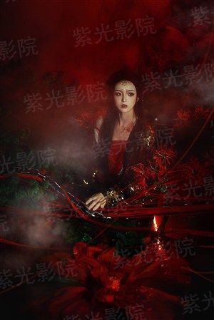 三界话事人