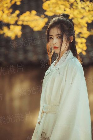 华夏妖精学院