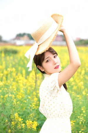 临风听夏蝉